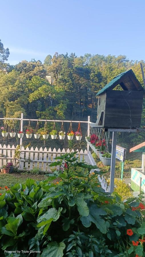 Mohraj Home Stay Bhowali Exterior photo