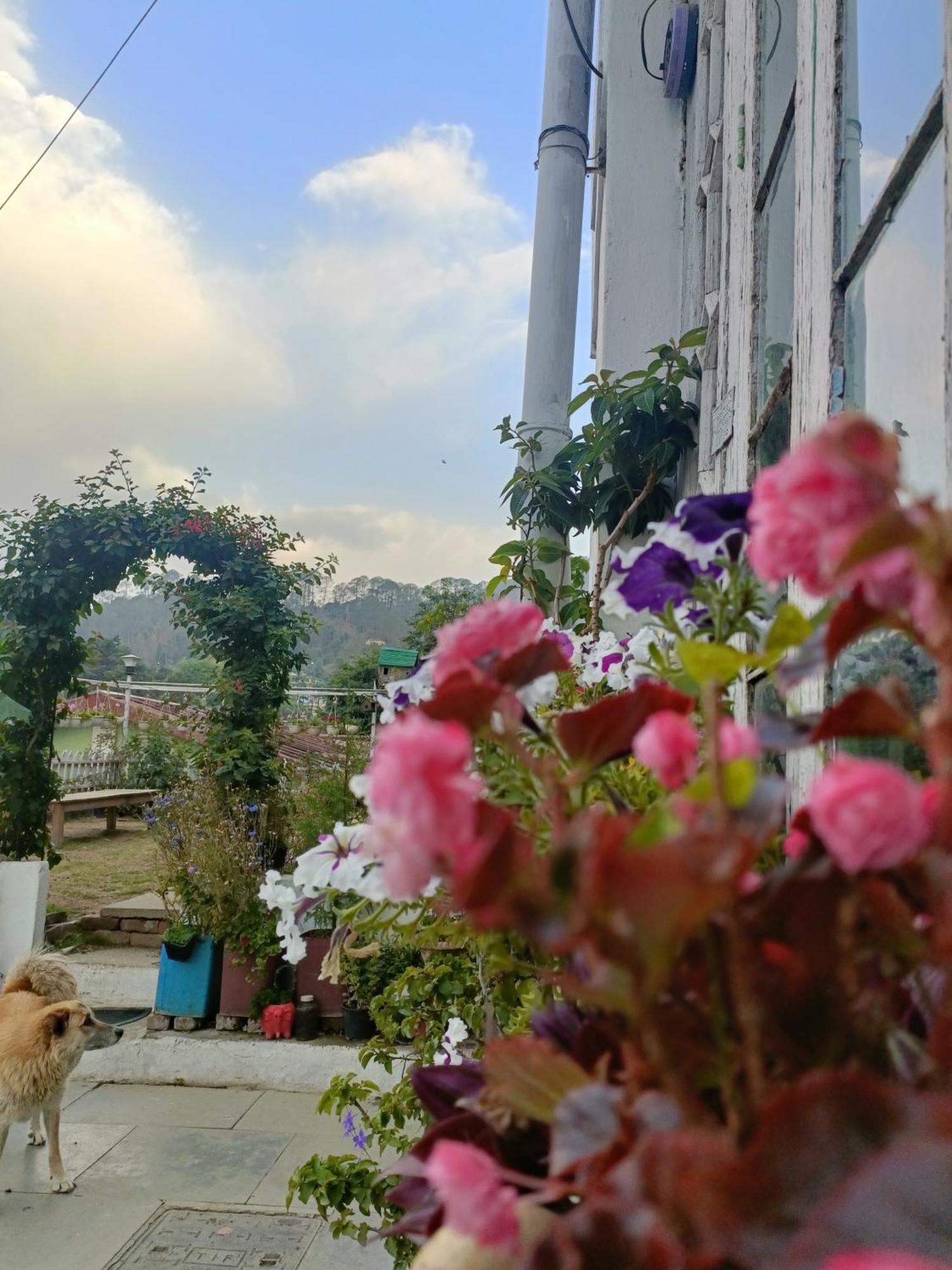 Mohraj Home Stay Bhowali Exterior photo